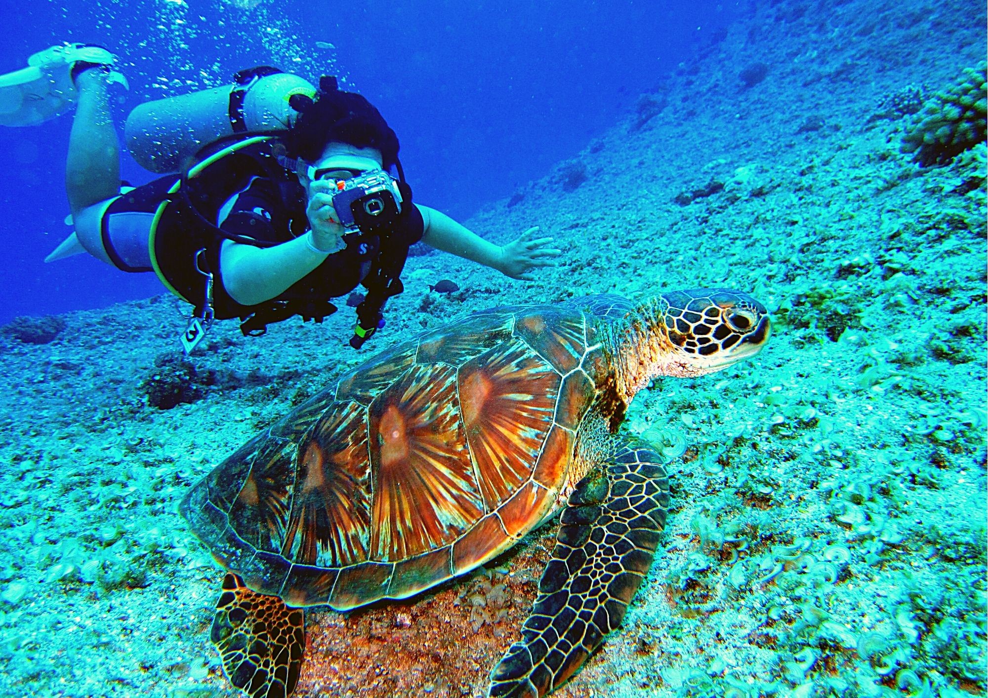 INSTITUT MEDITERRANEEN D'OCEANOLOGIE